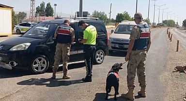 Van'da farklı suçlardan aranan 20 kişi tutuklandı