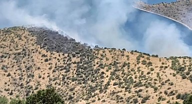 Van'da orman yangını: Ekipler zorlu arazide yürüyerek gitmeye çalışıyor