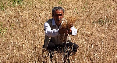 Vanlı çiftçiler sulama göleti istiyor