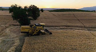Vezirköprü'de buğday hasadı başladı