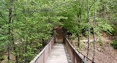 Yalova Valiliği ikinci bir emre kadar yasakladı!