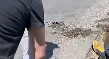 Yalova'da anne kedi ve dört yavrusu sıkıştıkları yağmur suyu kanalından kurtarıldı
