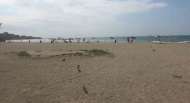 Yalova'da denizde boğulma tehlikesi geçiren çocuğu vatandaşlar kurtardı