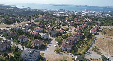 Yalova'da tepki çeken hayvan besleme yasağı