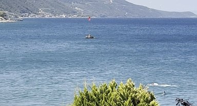 Yalova'da yunusun yüzen vatandaşla burun buruna geldiği anlar kamerada