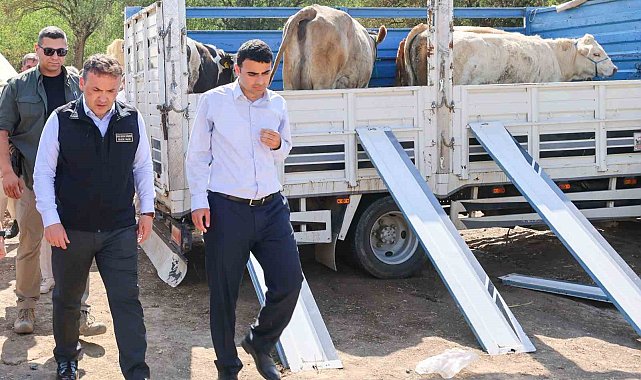 Yangın sonrası üreticilere büyükbaş ve küçükbaş hayvan desteği sağlandı