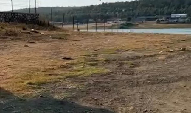 Yangına müdahale eden jandarma pilotundan büyük ustalık