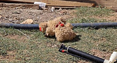 Yangında oyuncaklarını bırakıp ebeveynlerine yardım ettiler