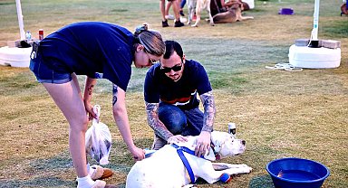 Yangından kurtulan patili dostlara yeni yuva