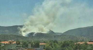 Yangınlar bu defa Selçuk'a sıçradı, alevlere karadan müdahale yapılıyor