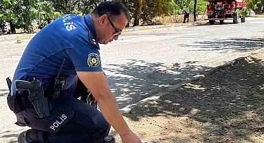 Yanmak üzere olan kaplumbağayı polis son anda kurtardı