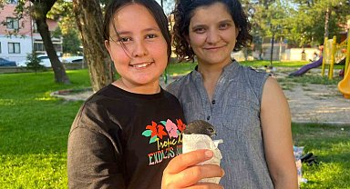Yaralı Ebabil kuşu Tavşanlı'da şefkatli ellerde
