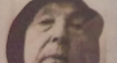 Yaşlı kadın ormanlık alanda kayboldu