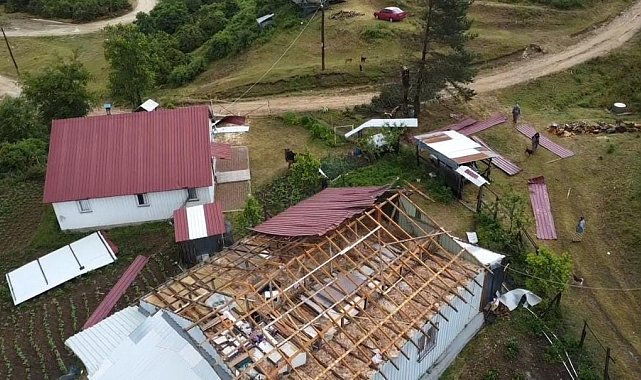 Yaylada şiddetli rüzgar ağaçları devirdi, çatıları uçurdu
