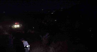 Yayladağı'nda ormanlık alanda çıkan yangın kontrol altına alındı