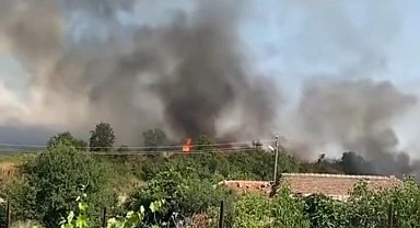 Yerleşim yerine yaklaşan alevler korkuttu