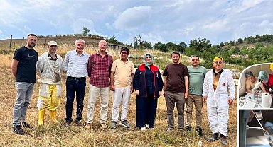 Yığılca arısı için suni tohumlama