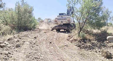 Yunusemre'de özel ağaçlandırma alanlarına bakım