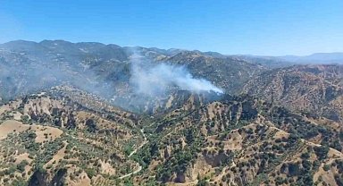 Zeytinlik alanda yangın çıktı, müdahale sürüyor