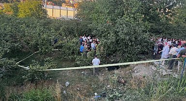 Zonguldak'ta kamyonet fındık bahçesine uçtu: Araçtan fırlayan sürücü öldü