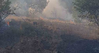 Zonguldak'ta ormanlık alanda çıkan yangına ekipler müdahale etti
