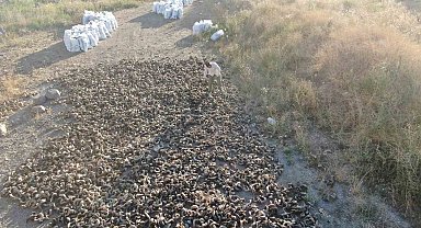 2 yıllık serüven başladı, Sivas bıçağının olmazsa olmazı kurutulmaya bırakıldı