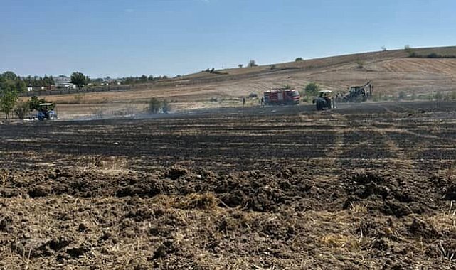 20 dönümlük alan anız yangınında kül oldu