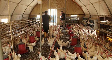 30 tavukla başladığı işletmesinde bin 700 tavuğa ulaştı