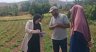 'Bayburt Tarhunu' coğrafi işaret tescilinin ardından ilk kez denetlendi