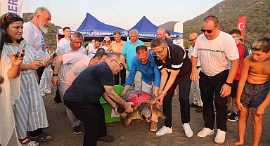 'Tuba'ya ikinci kez uydu takip cihazı takıldı