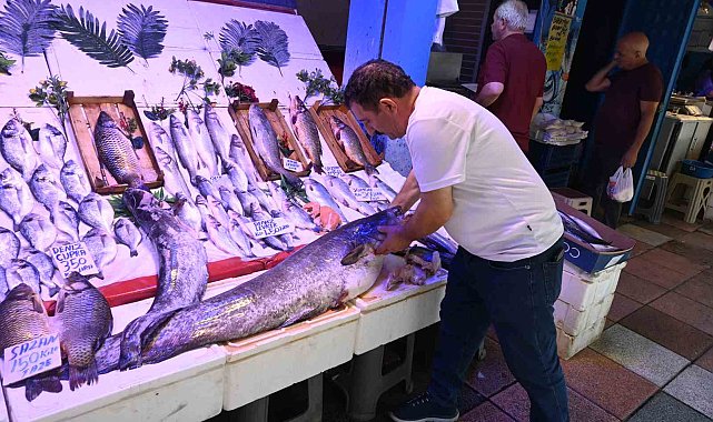40 kiloluk yayın balığını görenler 'Canavar gibi' diyor