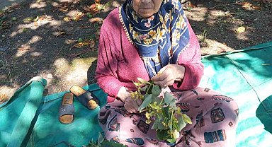 81 yaşındaki kadın her yerde aranıyor