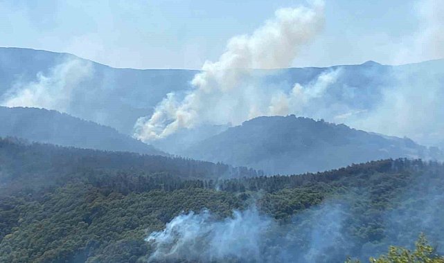 963 personel, 16 hava aracı ile Karamürsel'deki yangına büyük seferberlik