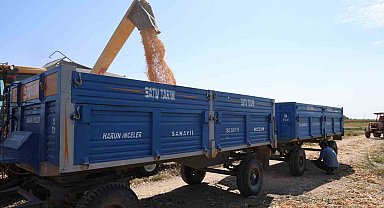 Adana'da aşırı sıcaklarda üreticilerin zorlu mesaisi