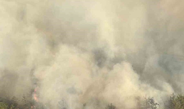Adana'da orman yangınına 6 helikopter ve 2 uçakla müdahale ediliyor