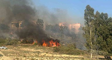 Adana'da yerleşim yeri çevresinde ağaçlık alanda çıkan yangın korkuttu