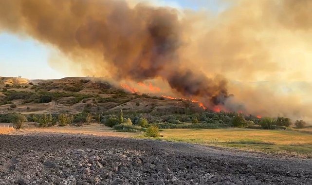 Adıyaman'da bahçe yangınına havadan ve karadan müdahale