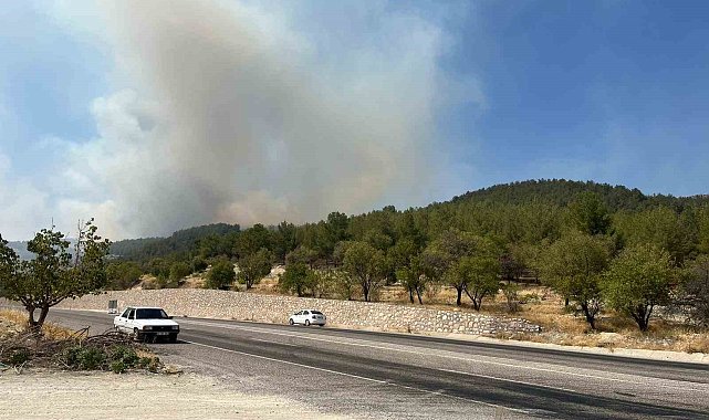 Adıyaman'da orman yangını