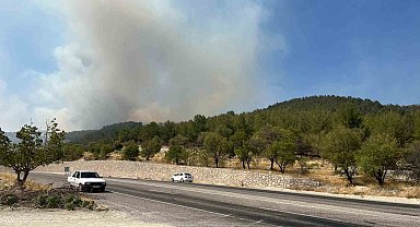 Adıyaman'da orman yangını