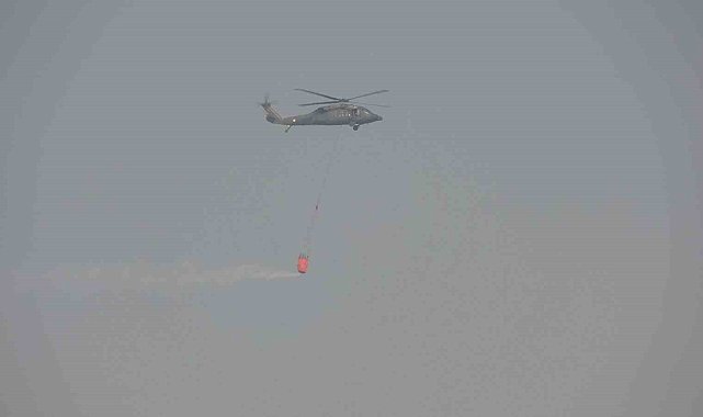Adıyaman'daki orman yangını kontrol altına alındı