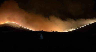 Afyonkarahisar'daki orman yangınına müdahale sürüyor