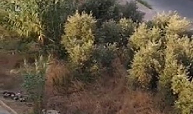 Alanya'da drift yapan sürücülere 166 bin TL ceza