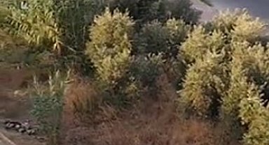 Alanya'da drift yapan sürücülere 166 bin TL ceza