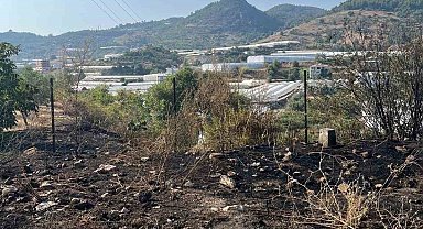 Alanya'da otluk alanda çıkan yangın büyümeden söndürüldü