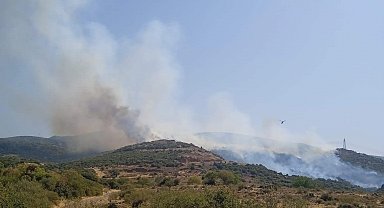 Aliağa'da makilik alanda yangın