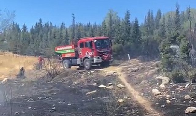 Aliağa'da ormanlık alanda çıkan yangın hızlı müdahale ile söndürüldü