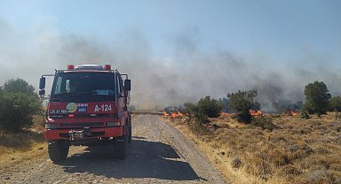 Aliağa'da otluk ve makilik alanda korkutan yangın