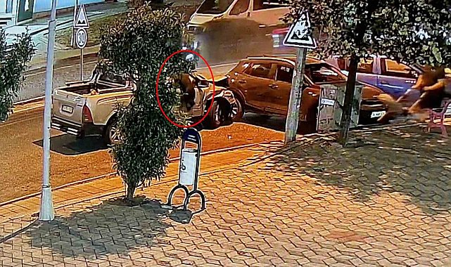 Alkollü sürücü 4 araca çarparak durabildi: Köpeği can havliyle camdan fırladı