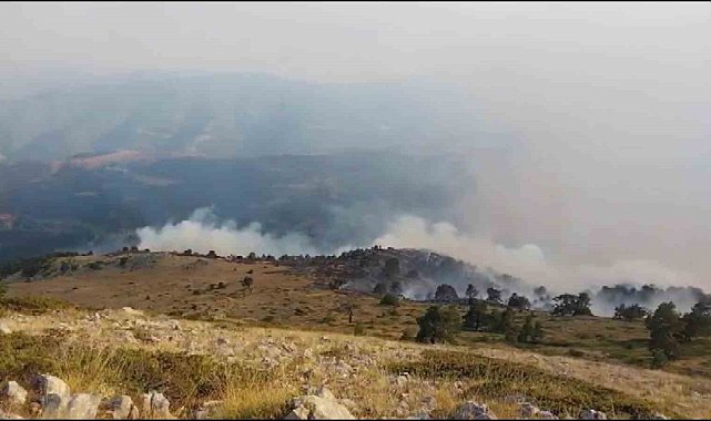 Amasya'da orman yangını: 35 hektar alan zarar gördü