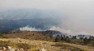 Amasya'da orman yangını